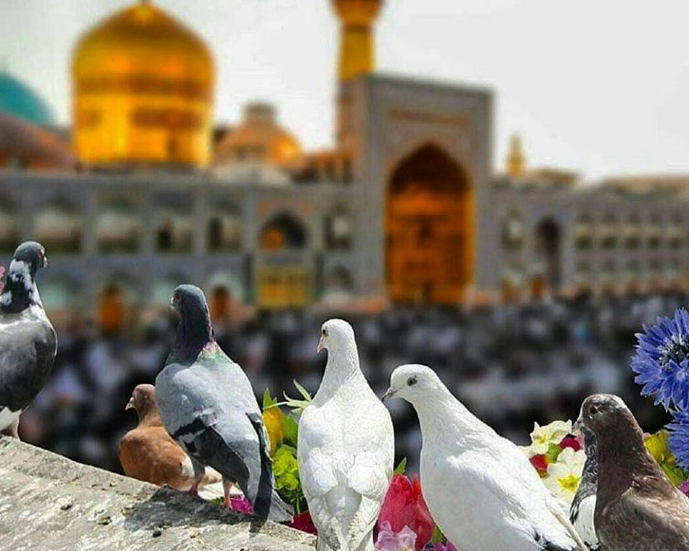 After the preparation for Operation Khayber, all the commanders were taken to Mashhad to perform the Ziyarat of Imam Reza (a.s). I did not get the chance to go with Agha Mahdi on this trip. On his return, ...